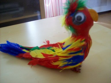 Parrot