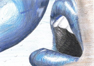 Lips