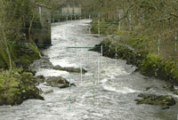 Afon Teifi