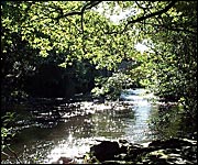 The river at Newbridge
