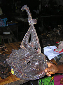 Bushmeat on display in Liberia, 2006