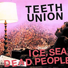 Review of Teeth Union