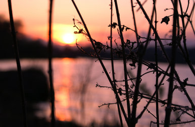 Whitlingham Sunset