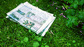 Newspaper