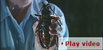 Play video - titan beetle