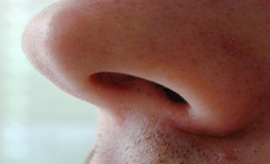 Noses
