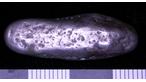 Viking silver ingot