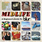 Review of Midlife: A Beginners Guide to Blur