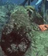 Cannon on the seabed