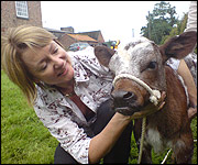 Julia Booth with calf