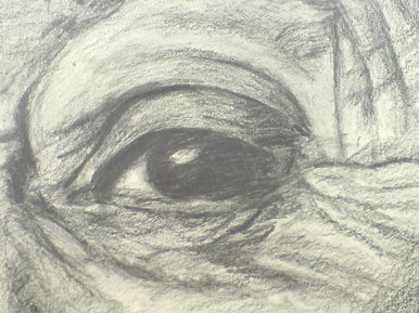 Eye