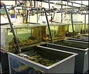 Aquarium