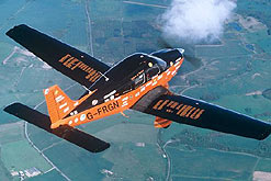 Image: Polly's Piper Dakota