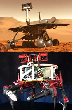 Mars Rover (top); Lemur (bottom) credit: NASA/JPL-Caltech