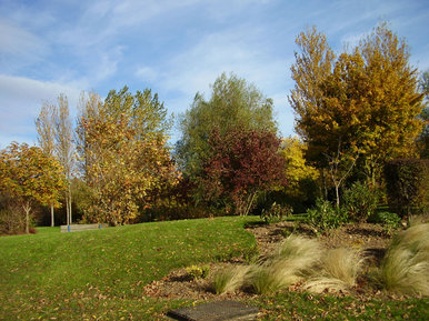 Beautiful park