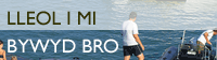 Bywyd Bro