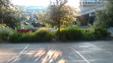 Sunny Day Seattle... Sunny Day Seattle...