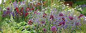 Mixed planting