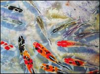 Koi Carp