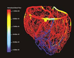 Denis Noble's virtual heart