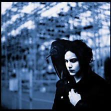 Review of Blunderbuss