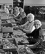Pasty making